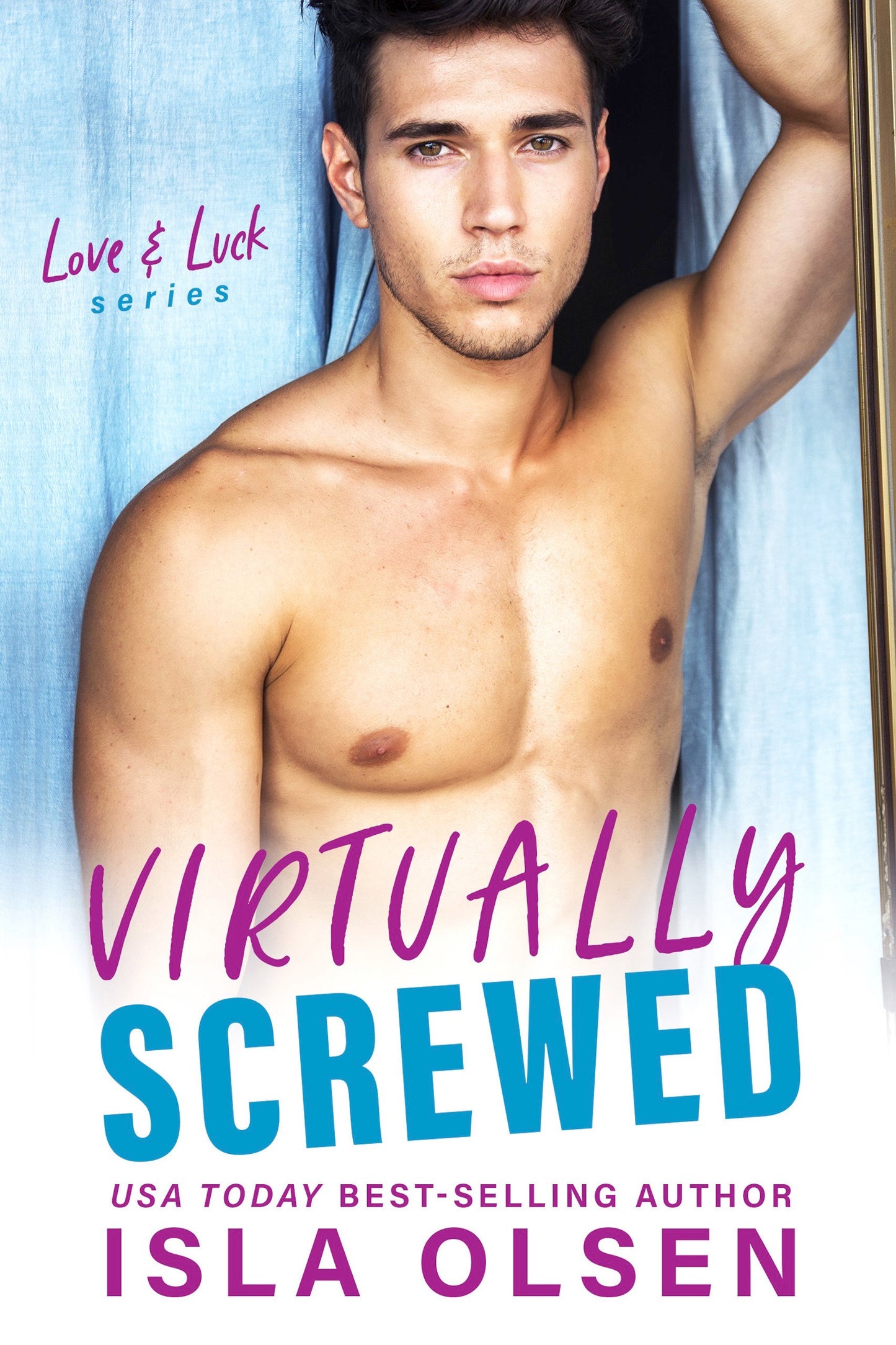 Virtually Screwed: Love & Luck Book 2 eBook